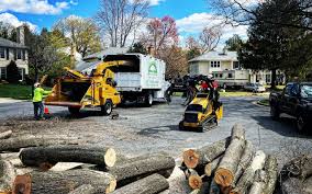 Best Arborist Consultation Services  in Ukiah, CA